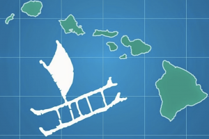 ドルフィン＆ユーの野生のイルカツアーが エコフレンドリーツアーとして認定されました！