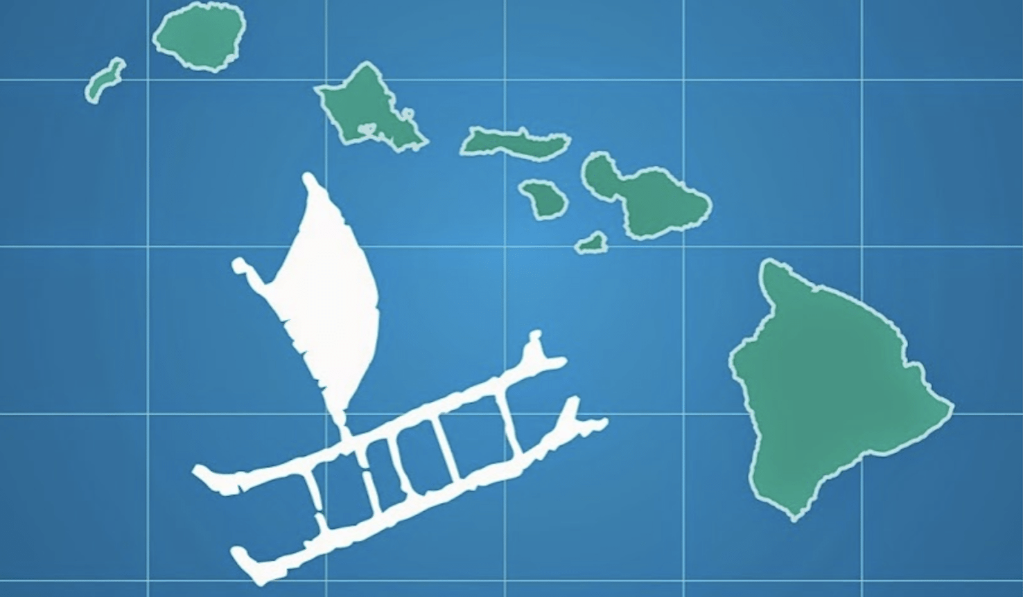 You are currently viewing ドルフィン＆ユーの野生のイルカツアーが エコフレンドリーツアーとして認定されました！