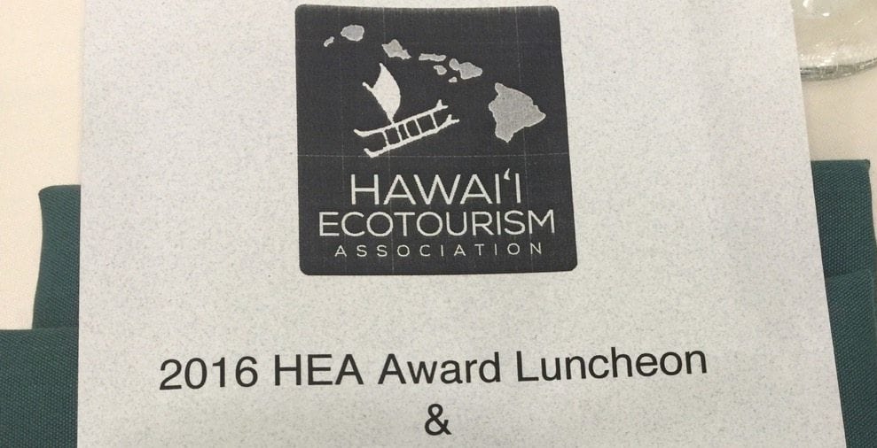 You are currently viewing ハワイ州エコツーリズム協会（STAH）とは？自然と文化を守るサステナブルな観光の取り組み