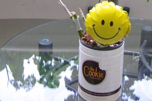 【ワイキキの隠れたおもてなし】ダブルツリーホテルの“あのクッキー”が忘れられない理由