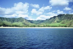 野生のイルカが集まる場所は王族が愛したパワースポット