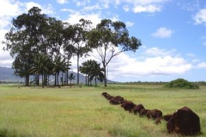 ハワイのパワースポット！パワー溢れる聖なる出産の場所ークカニロコ・バーススートーン