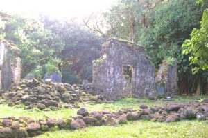 ハワイの神秘「奇跡の川」が流れる森　