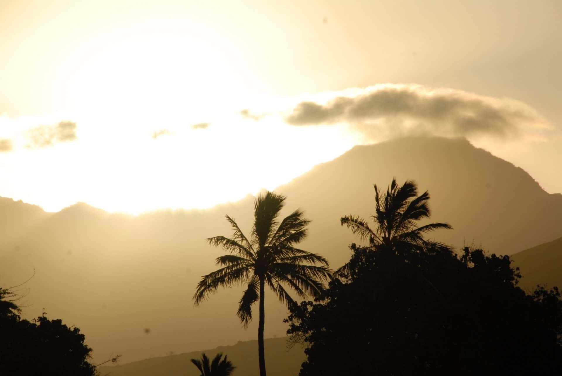 You are currently viewing 最高に幸せで 豊かな人生を創るワークショップ　