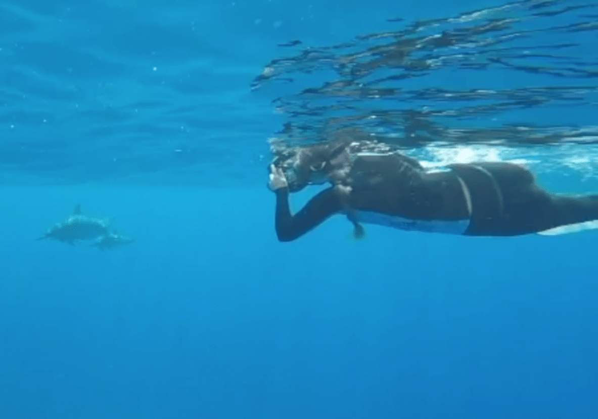 You are currently viewing Blake Shares Dolphin Names (COTW Episode 003)