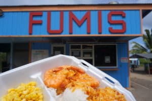 初ハワイの人に伝えたいオアフ島一周ツアーの魅力