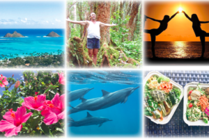 ハワイでイルカと泳ぐ実業家リチャード・ホーランドの癒しのリトリート「スピリチュアルライフスタイルを学ぶ」をハワイで行います！