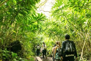 ロコに愛される街、マノアの魅力