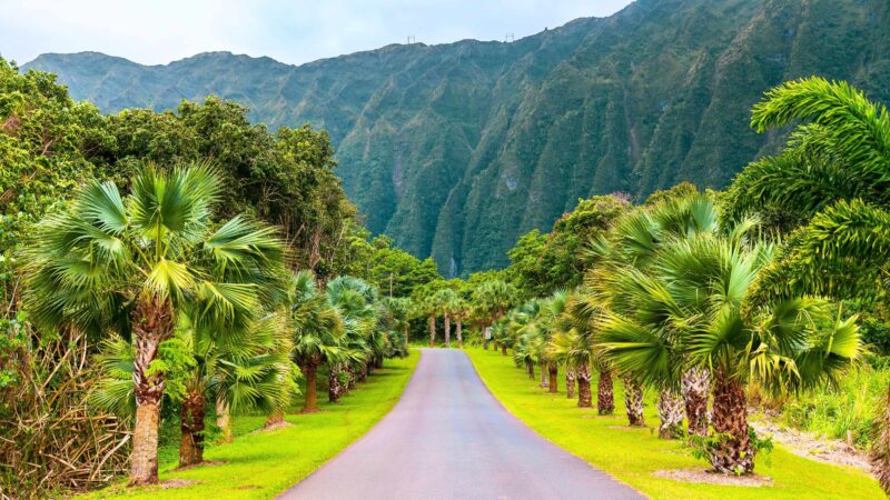 Hoʻomaluhia Botanical Garden