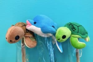 イルカと過ごす夏休み！サマーキャンペーン！ちびっこ大集合〜！