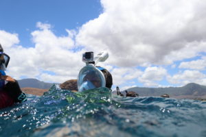 Hawaii Snorkeling Safety: Avoid the Dangers of Full-Face Masks on Your Trip 🤿