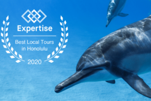 ドルフィン＆ユーがホノルルのベストローカルツアーに選ばれました！