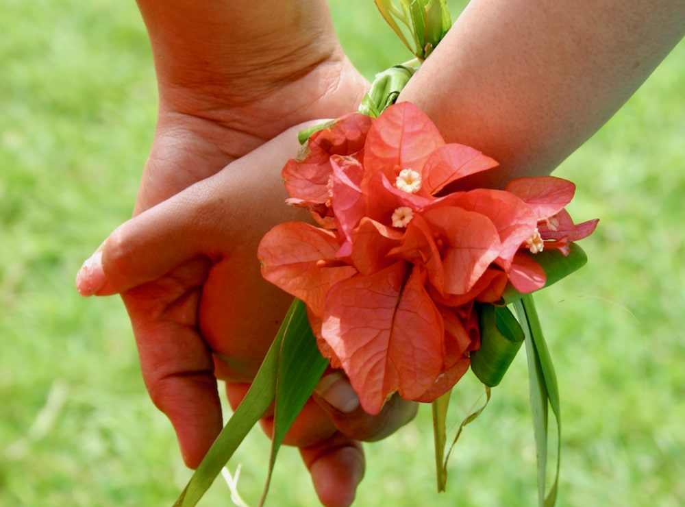 You are currently viewing 新型コロナウィルス、パンデミックを乗り越えるハワイの現状