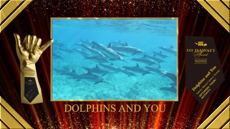 ハワイファンが選ぶ投票「111 Hawaii Award」でドルフィン＆ユーが今年もハワイのベストツアーに選ばれました！