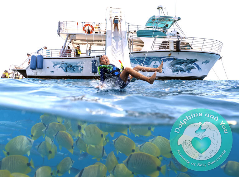 Dolphin watching boat with water slider