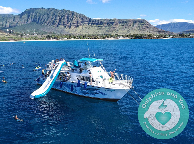 Dolphin watching boat with water slider