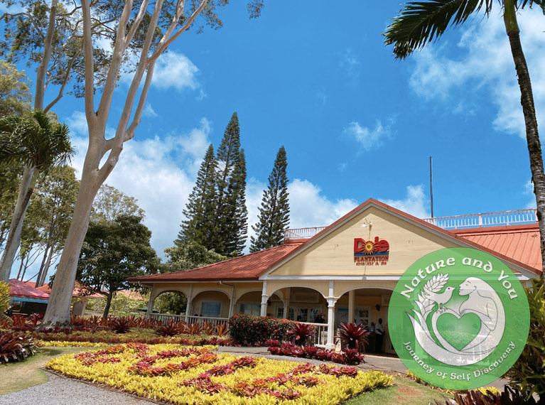 Dole Pineapple Plantation Oahu