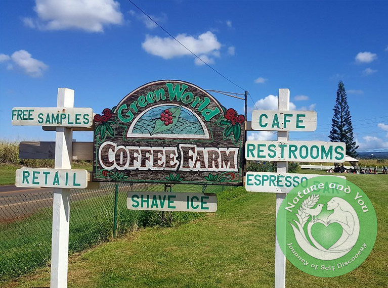 GreenFarmSign
