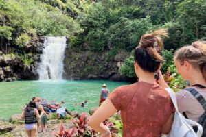 AYCの陸のオプショナルツアーの安全性