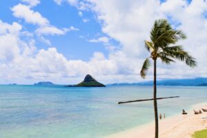 アンドユークリエーションズのツアーで訪れるオアフ島の観光スポット