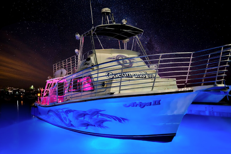 You are currently viewing ハワイのサンセットパーティークルーズ今なら半額！こんなオプショナルツアーもあったんだ！