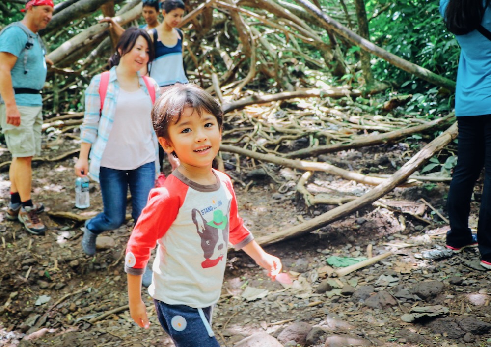 You are currently viewing マノアの滝ハイキングツアーは小さい子供も参加できますか?