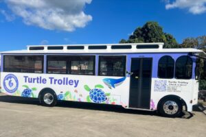 無料トロリーサービス開始！ウミガメと泳ぐスノーケリングツアー以外にも使える！