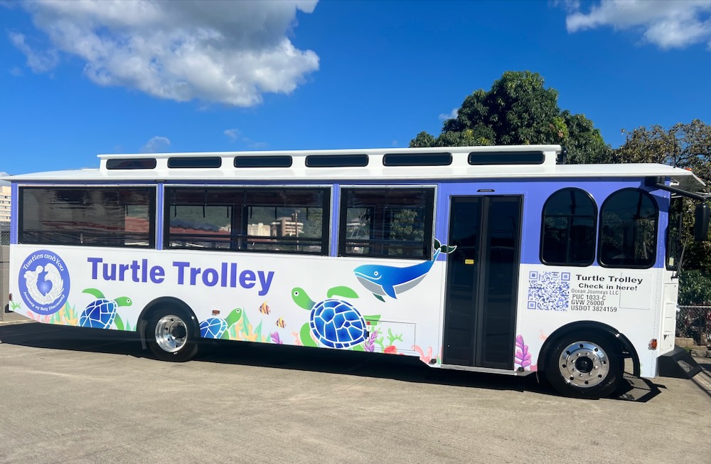 You are currently viewing 無料トロリーサービス開始！ウミガメと泳ぐスノーケリングツアー以外にも使える！