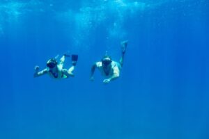 ハワイの海でシュノーケリングしたい！安全第一の楽しみ方と必需品