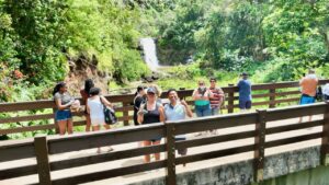 Waimea falls Oahu with guide