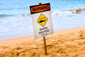 Shark Warning Hawaii