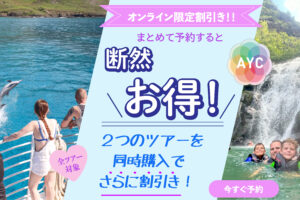 【ハワイお得情報】 WEB割引で、ハワイのオプショナルツアーをお得に！