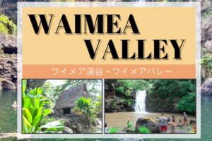 有吉の夏休み2024で紹介されたオアフ島のワイメア渓谷の歴史