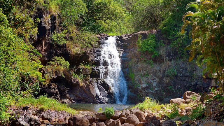 Oahu-waimea-guided-tour