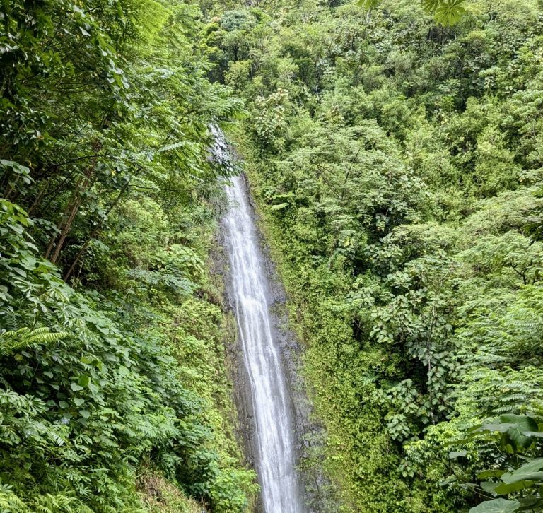 rainy manoa falls