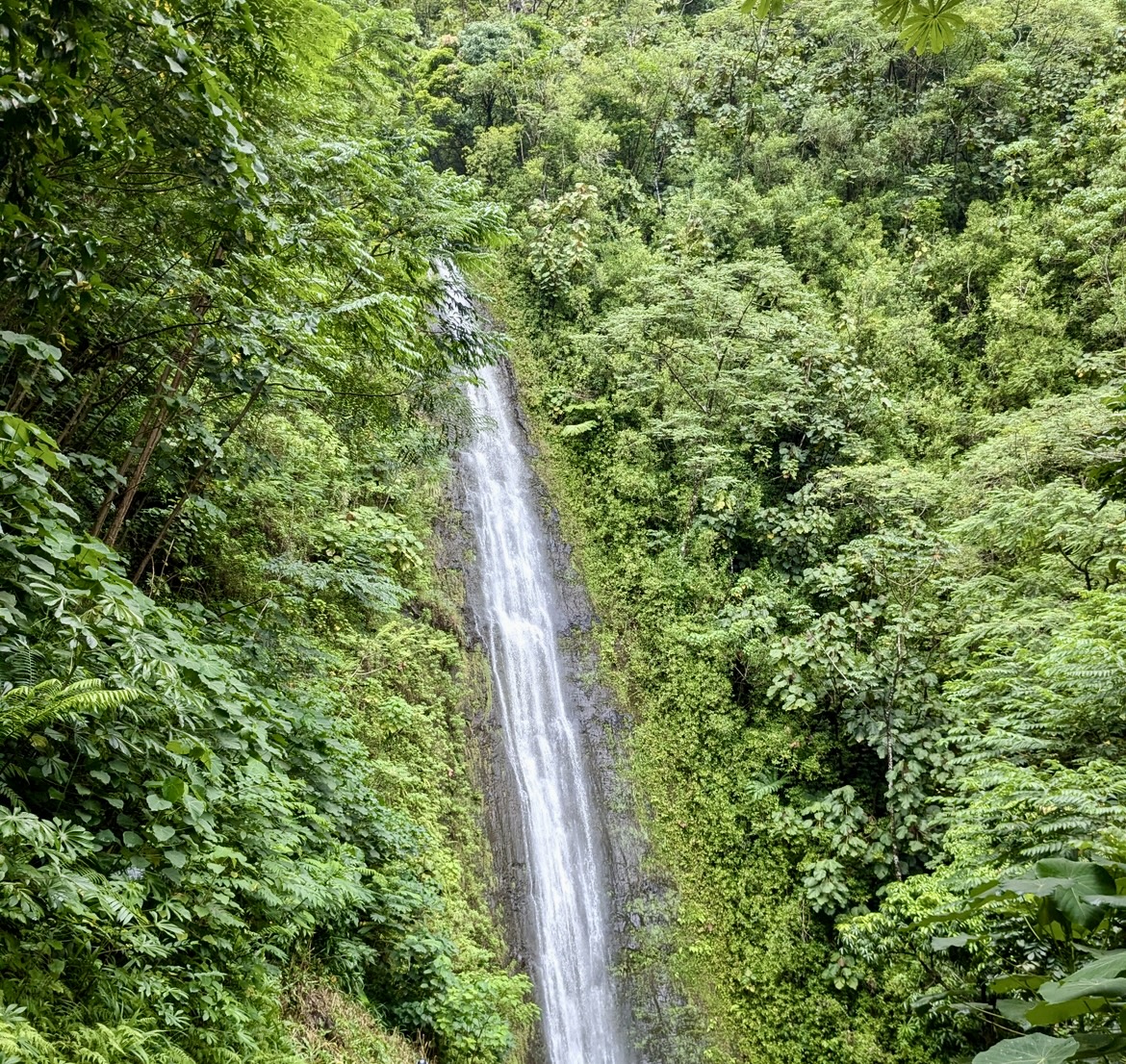 You are currently viewing Rainy Day Activities in Oahu: Best Tours to Enjoy in Hawaii When It Rains