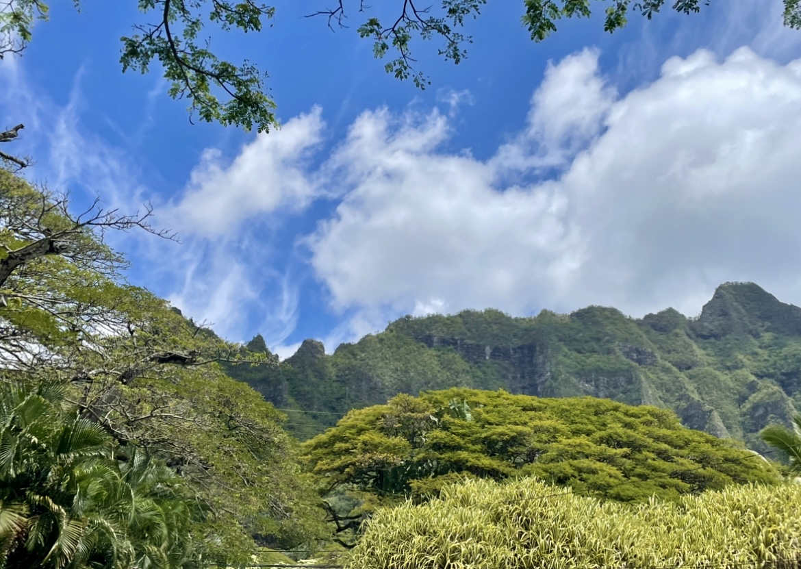 You are currently viewing Oahu Full Day Tour: What to Expect from Island and You