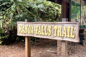 Guest Review: Guide Manoa Falls Hike Review & Scenic Oahu Adventure with Nature and You