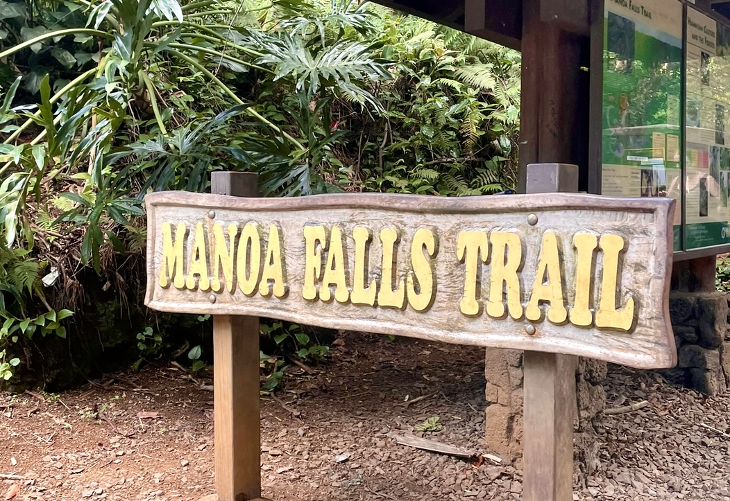 You are currently viewing Guest Review: Guide Manoa Falls Hike Review & Scenic Oahu Adventure with Nature and You
