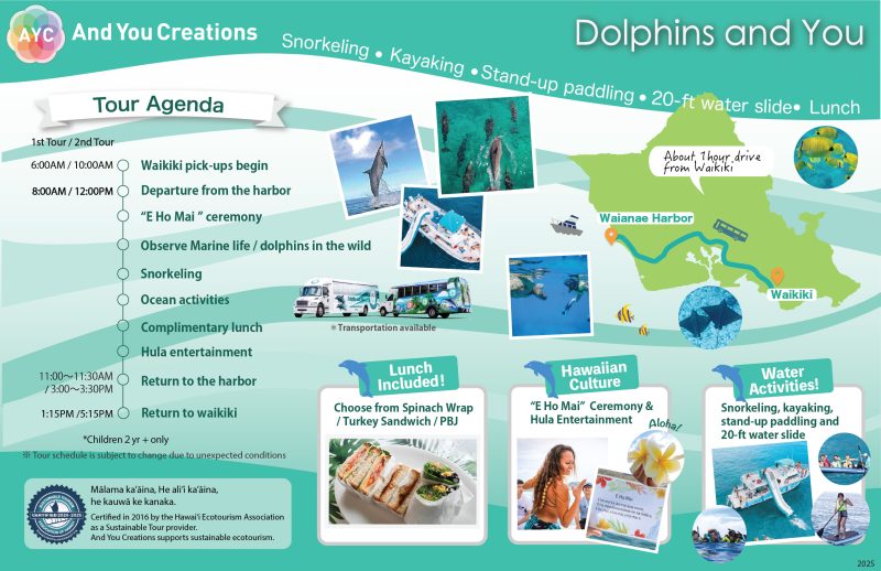 dolphin watching tour back