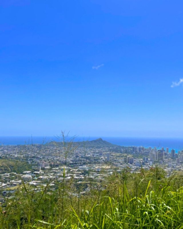 View from Mt. Tantalus after Manoa Tour
