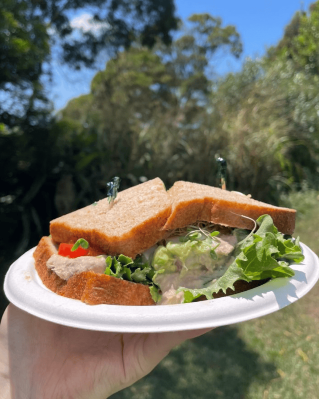 Manoa Tour Lunch from Andy's sandwich