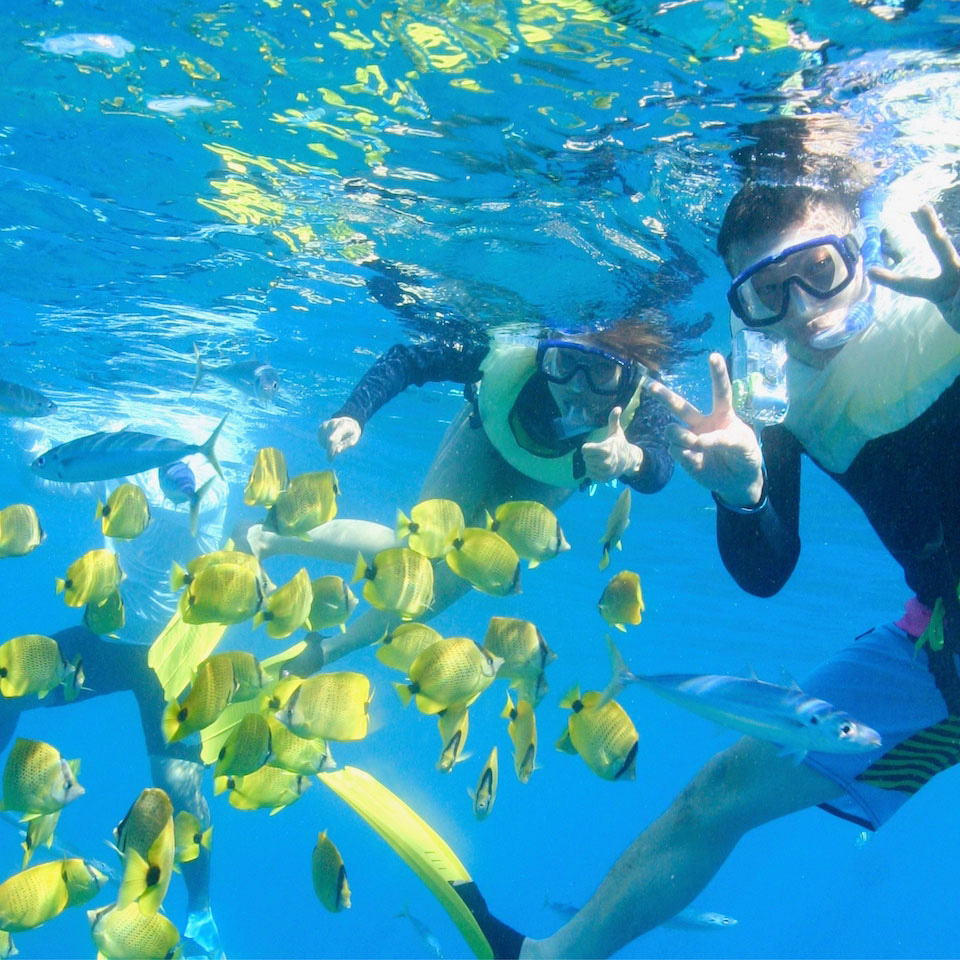 West Oahu snorkeling
