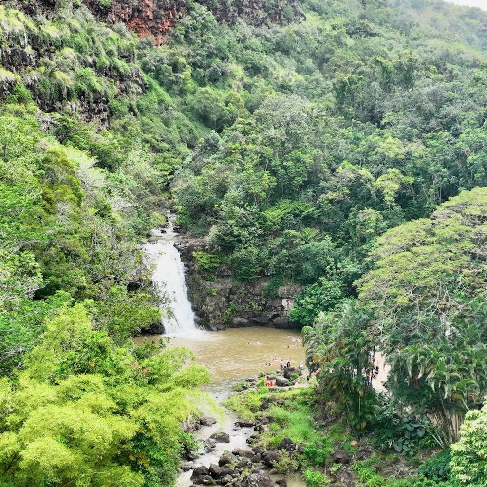 Waimea Valley