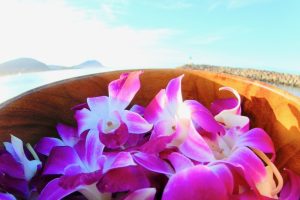 【満足度◎】期待以上の体験ができるハワイ旅行とは？初めてでもリピーターでも感動できる理由