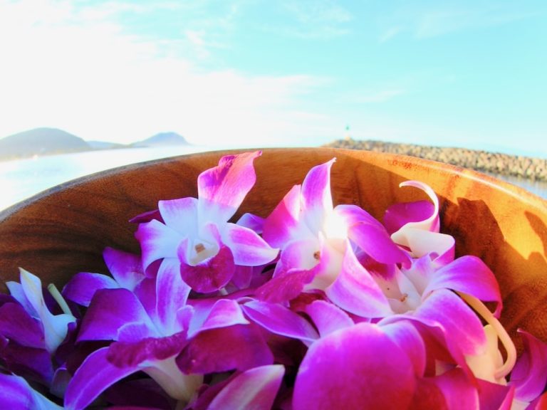 Hawaii flower