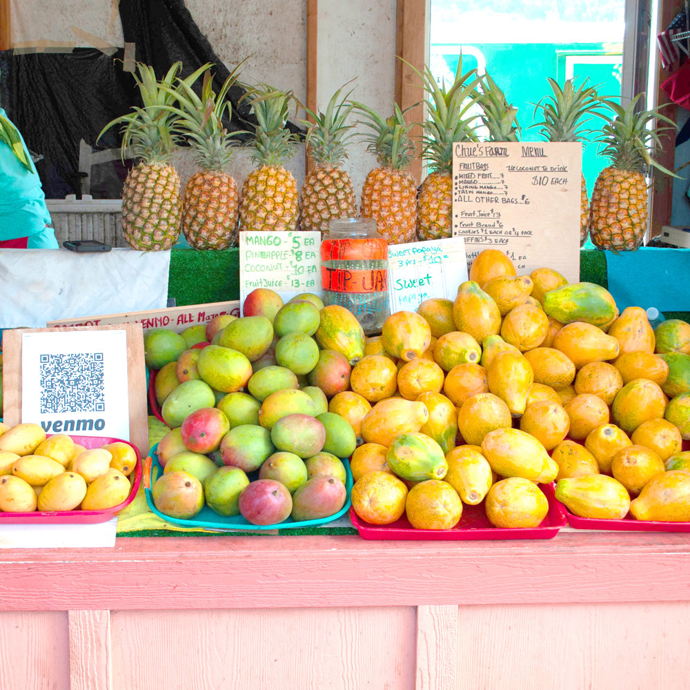 Circle Island tour Kahuku Fruits stand