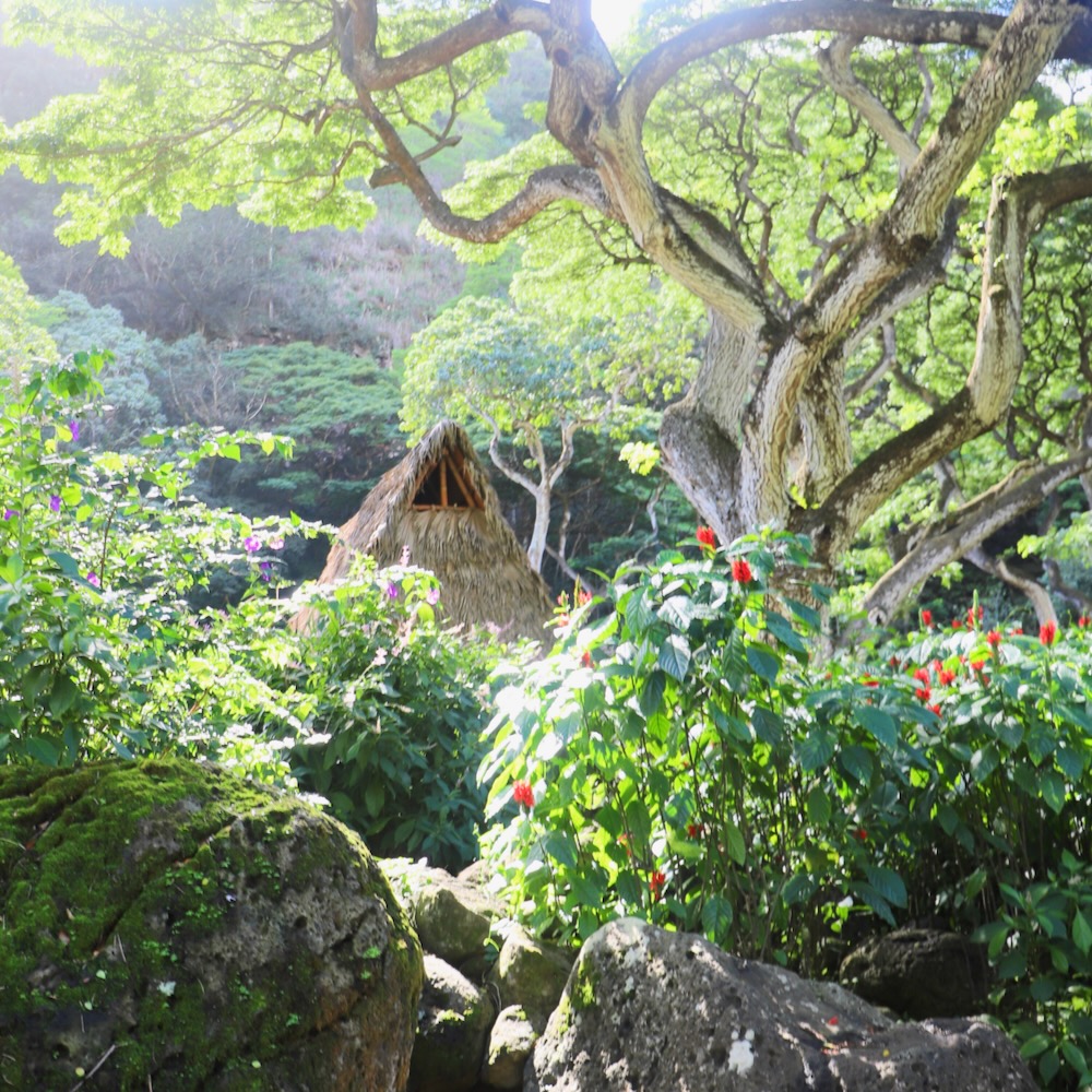 Waimea Valley