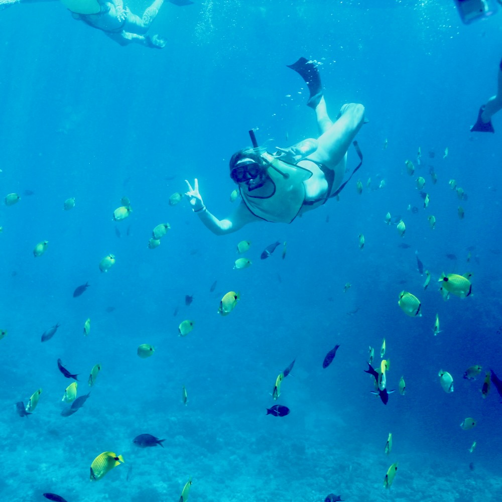 snorkeling with Hawaiian fish
