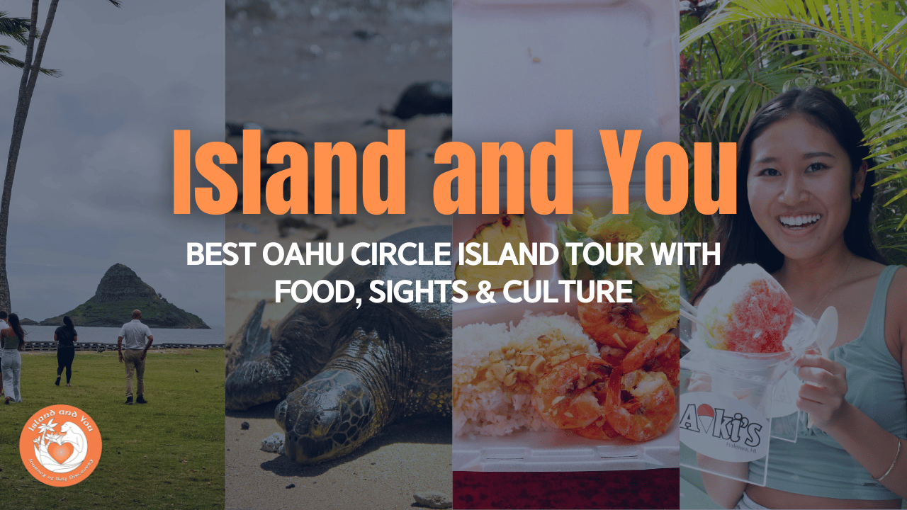 Best circle island tour video